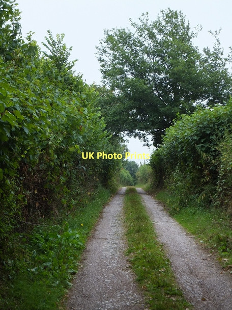 Photo 6"x4" Track opposite Farringdon House Farringdon\/SY0191 c2011