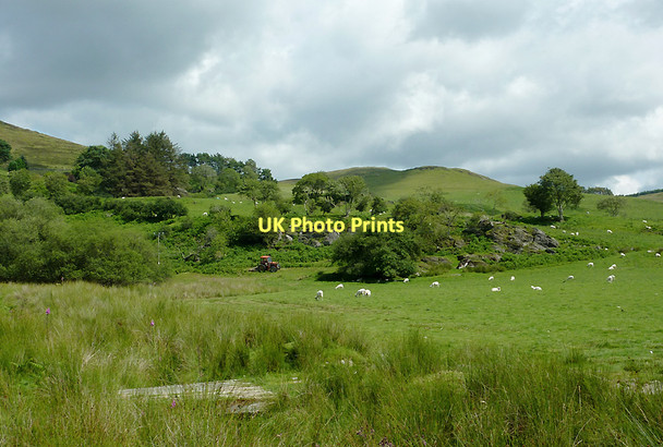 Photo 6"x4" Hill pasture at Ysbyty Cynfyn, Ceredigion Ysbyty Cynfyn c2011