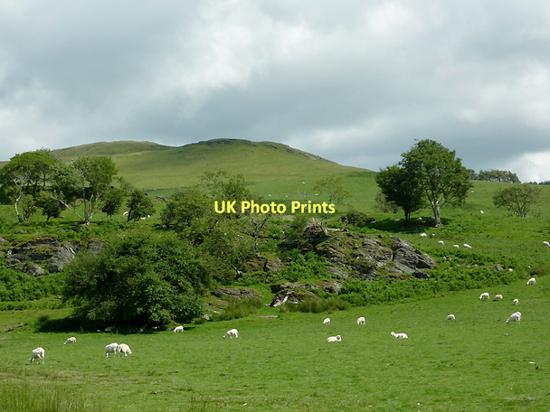 Photo 6"x4" Rocky outcrop and pasture at  Ysbyty Cynfyn, Ceredigion Ysbyty Cynfyn c2011