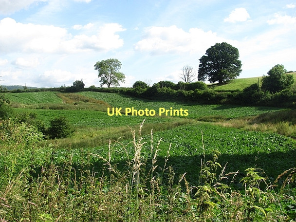 Photo 6"x4" Farmland, Downton Burrington\/SO4472 c2011