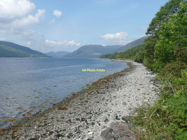 Photo 6"x4" Looking up Loch Striven Inverchaolain c2011