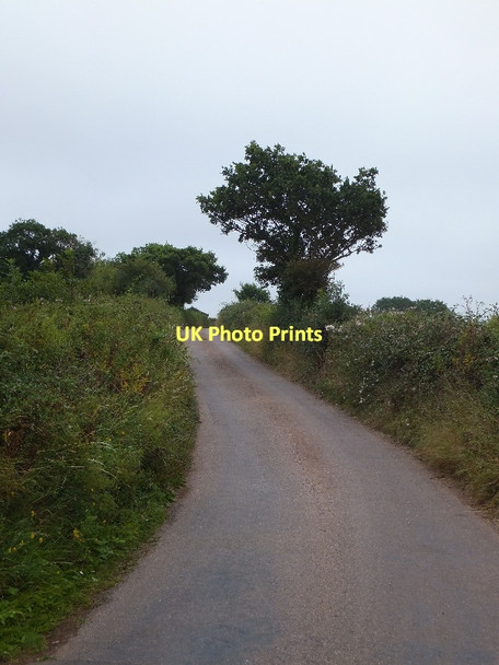 Photo 6"x4" Spain Lane, Farringdon Farringdon\/SY0191 c2011