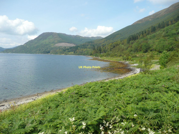 Photo 6"x4" Looking north from Finart Point Inverchaolain c2011