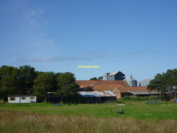 Photo 6"x4" East Lothian Farms : Scoughall, near Whitekirk Whitekirk c2011