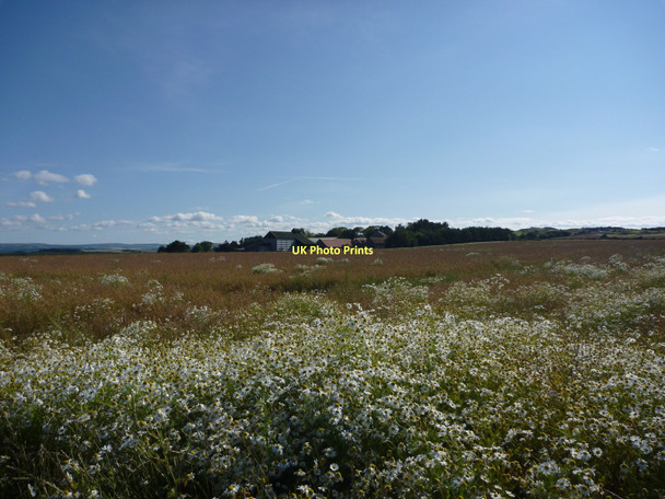Photo 6"x4" East Lothian Landscape : A Distant View of New Mains, near Whitekirk Whitekirk c2011