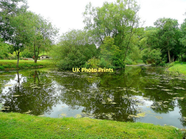Photo 6"x4" Pond at the Foss Bridge Inn Fossebridge c2011