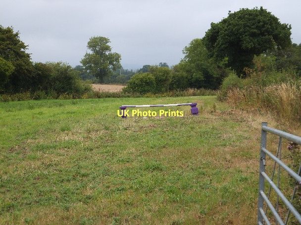 Photo 6"x4" Long narrow field near Farringdon Farringdon\/SY0191 c2011