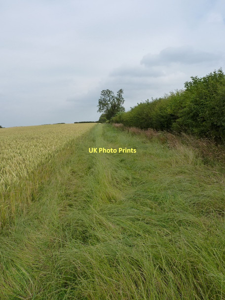 Photo 6"x4" Footpath from Plaish Park Enchmarsh c2011