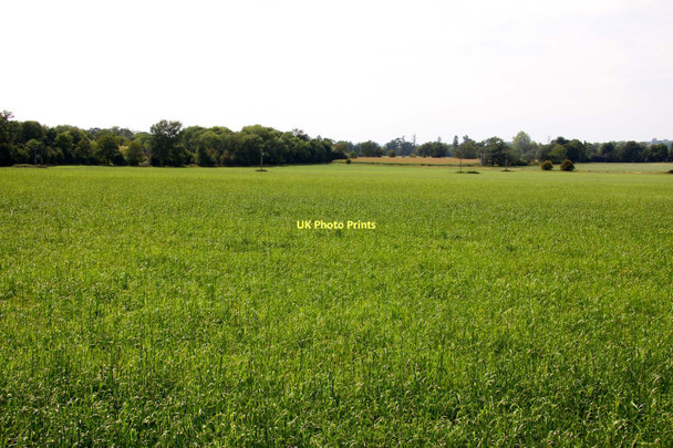 Photo 6"x4" An arable field in Arborfield Arborfield c2011