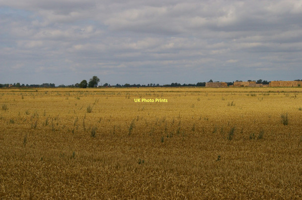 Photo 6"x4" Looking into Blackmoor Fen Sutton Gault c2011