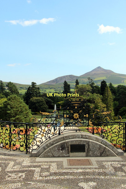 Photo 6"x4" Garden, Powerscourt, County Wicklow, Ireland Enniskerry c2011 P1