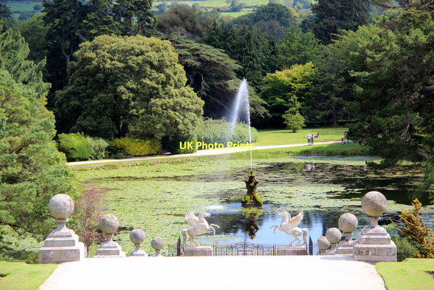 Photo 6"x4" Water Garden, Powerscourt, County Wicklow, Ireland Enniskerry c2011