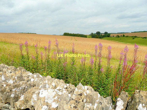 Photo 6"x4" Ablington Downs Winson\/SP0908 c2011