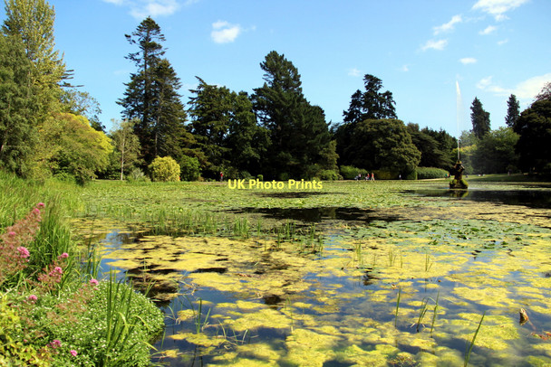Photo 6"x4" Water Feature, Powerscourt, County Wicklow, Ireland Enniskerry c2011