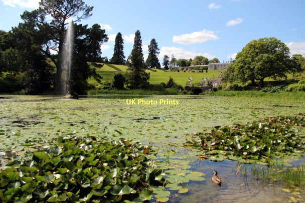 Photo 6"x4" Powerscourt, County Wicklow, Ireland Enniskerry c2011