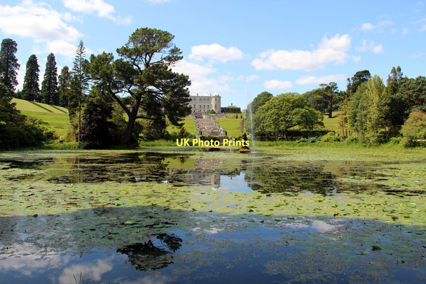 Photo 6"x4" Powerscourt, County Wicklow, Ireland Enniskerry c2011 P2