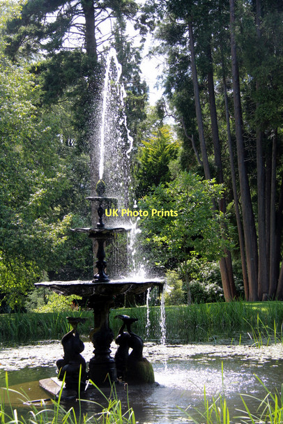 Photo 6"x4" Fountain, Dolphin Pond, Powerscourt, County Wicklow Enniskerry c2011