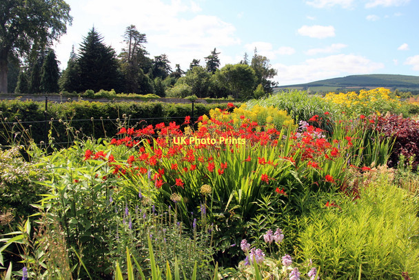 Photo 6"x4" Herbaceous Border, Powerscourt, County Wicklow, Ireland Enniskerry c2011 P2