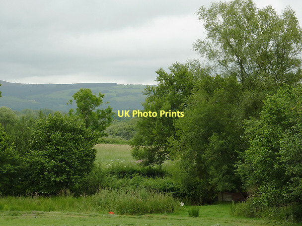 Photo 6"x4" Farmland west of Stags Head, Ceredigion Llanio c2011