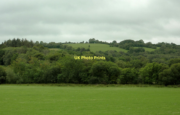 Photo 6"x4" Pasture and woodland south-west of Stags Head, Ceredigion Llanio c2011