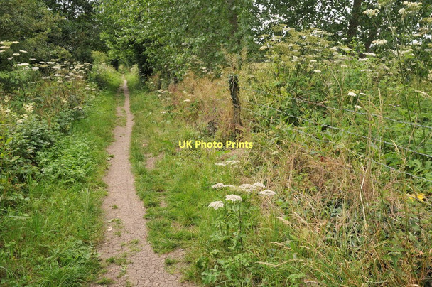 Photo 6"x4" Thames Path near Shillingford Shillingford\/SU5992 c2011