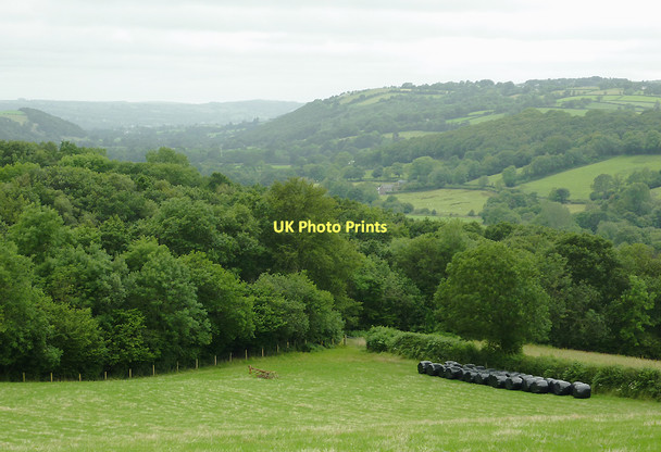 Photo 6"x4" Fields and woodland near Llangeitho, Ceredigion Llangeitho c2011