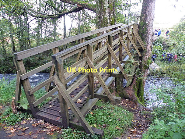 Photo 6"x4" Footbridge near Kingarth Comrie\/NN7722 c2010