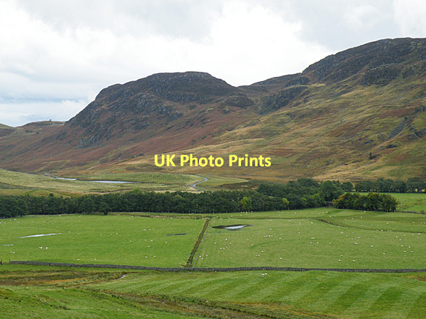 Photo 6"x4" Glen Lednock Invergeldie c2010