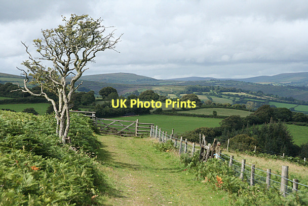 Photo 6"x4" West Buckfastleigh: on Lambs Down Michelcombe c2011