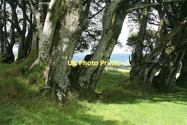Photo 6"x4" West Buckfastleigh: site of farmstead on Lambs Down Michelcombe c2011