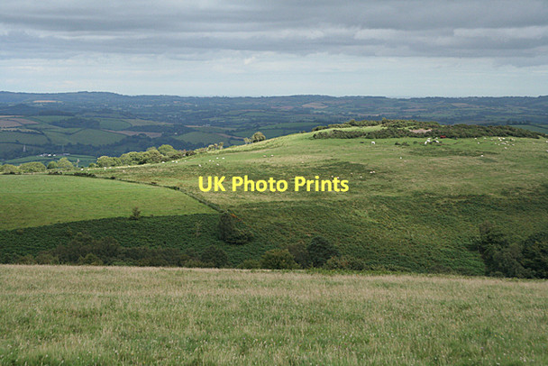 Photo 6"x4" West Buckfastleigh: Wallaford Down Upper Dean\/SX7264 c2011