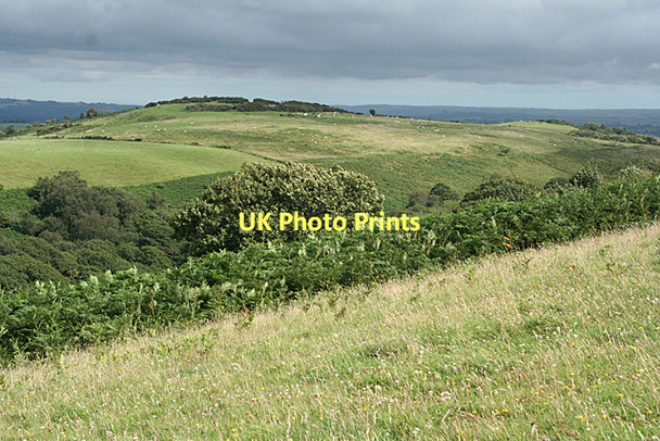 Photo 6"x4" West Buckfastleigh: towards Wallaford Down Combe\/SX7068 c2011