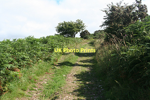 Photo 6"x4" West Buckfastleigh: bridleway to Dean Prior Michelcombe c2011