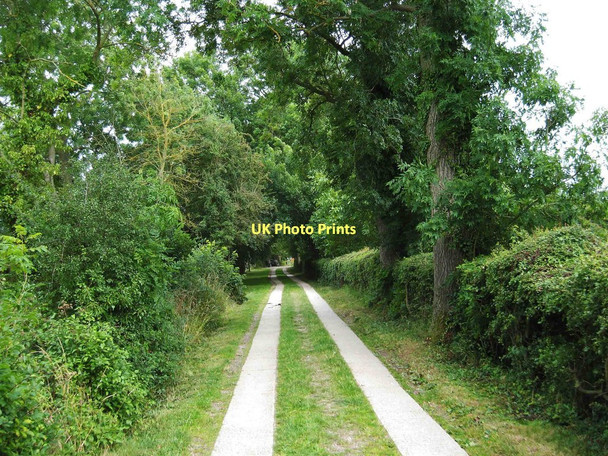 Photo 6"x4" Mill Lane looking towards the village, Feckenham Feckenham c2011