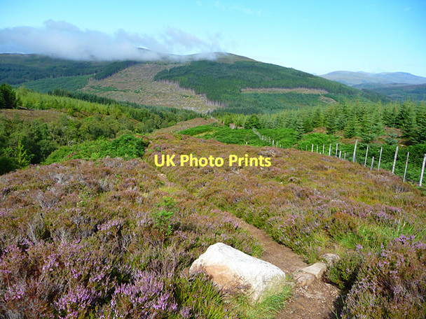 Photo 6"x4" The Ben Wyvis path Garbat c2011