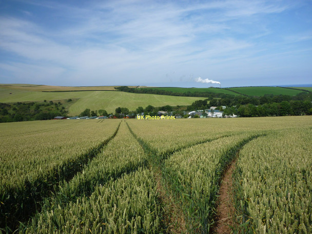Photo 6"x4" East Lothian Landscape ; Field Tramlines Near Thurston Manor Innerwick\/NT7274 c2011