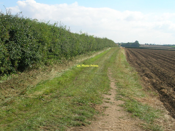 Photo 6"x4" Farm track towards Glebe Farm Wootton\/TA0816 c2011