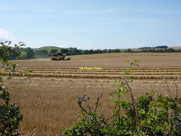 Photo 6"x4" Rural East Lothian : Harvest Time Near Woodhall Innerwick\/NT7274 c2011