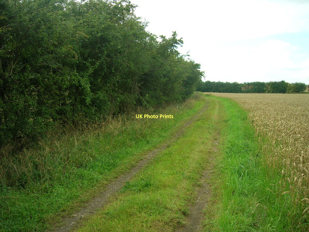 Photo 6"x4" Viking Way heading south Elsham c2011