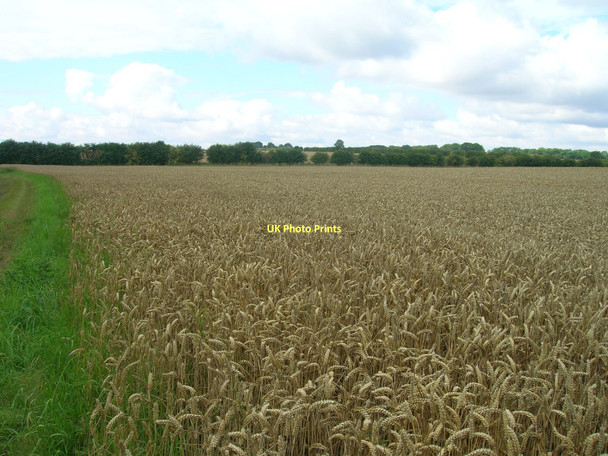 Photo 6"x4" Farmland from the Viking Way Elsham c2011
