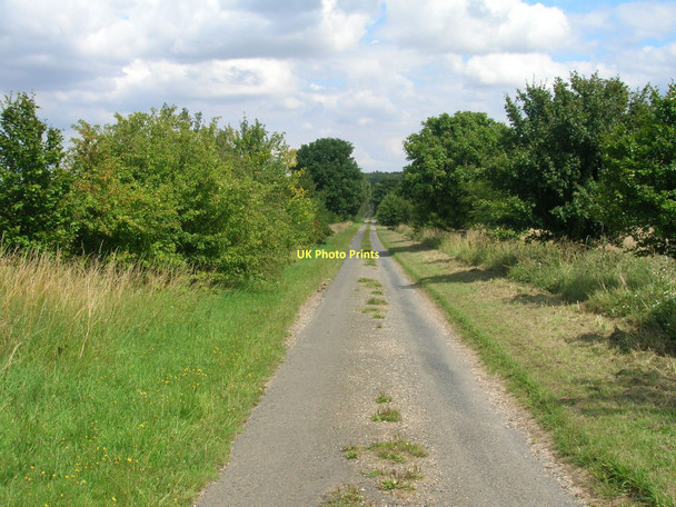 Photo 6"x4" Owmby Wold Lane Searby c2011
