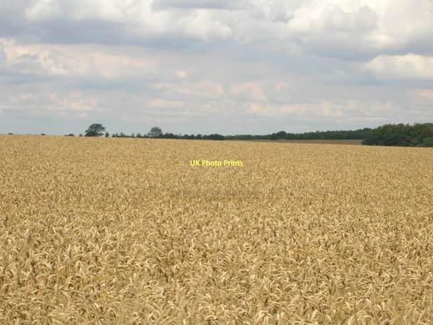 Photo 6"x4" Farmland off Grasby Wold Lane Clixby c2011