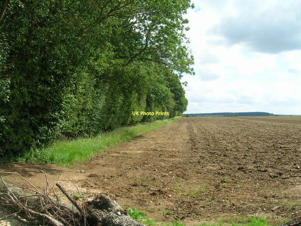 Photo 6"x4" Farmland, Grasby Bottoms Clixby c2011