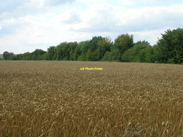 Photo 6"x4" Farmland near Hendale Wood Searby c2011