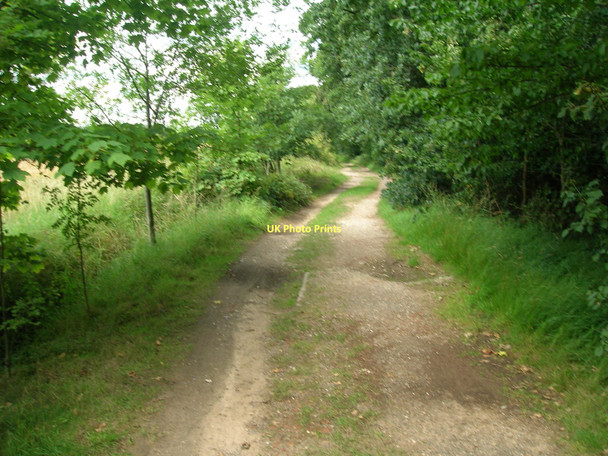 Photo 6"x4" Bridleway beside Hendale Wood Searby c2011