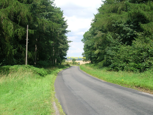 Photo 6"x4" Minor road towards Kirmington Little Limber c2011