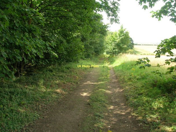 Photo 6"x4" Bridleway heading west beside Hendale Wood Melton Ross c2011
