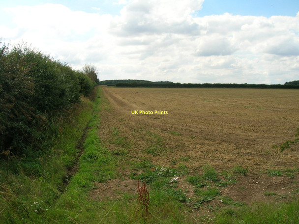 Photo 6"x4" Farmland off the B1211 Croxton\/TA0912 c2011
