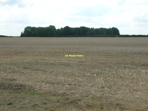 Photo 6"x4" Farmland near Wootton Ulceby\/TA1014 c2011