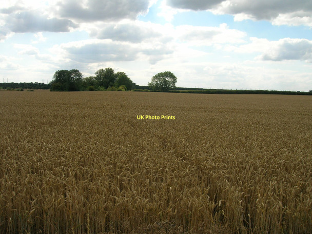 Photo 6"x4" Farmland off the A1077 Barrow upon Humber c2011